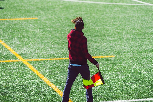 有一些精彩 有一些精彩