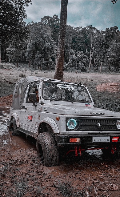 手便是一个 手便是一个