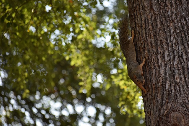 暂时的困境 暂时的困境