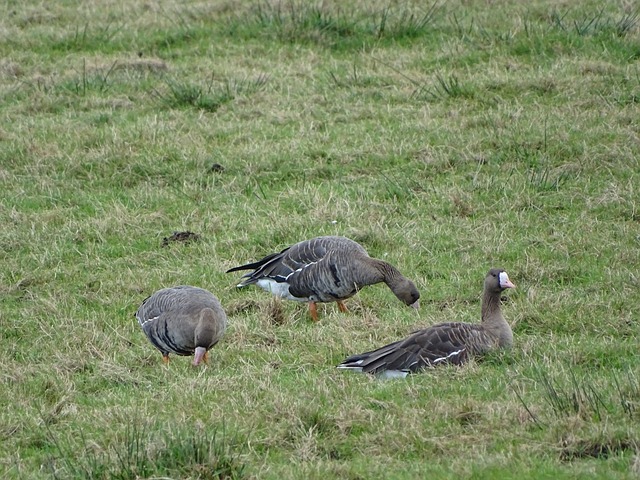 和战术素养 和战术素养