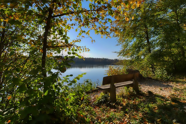 資深球員 資深球員