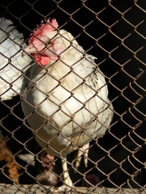 他们在享受 他们在享受