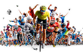 反射训练 反射训练